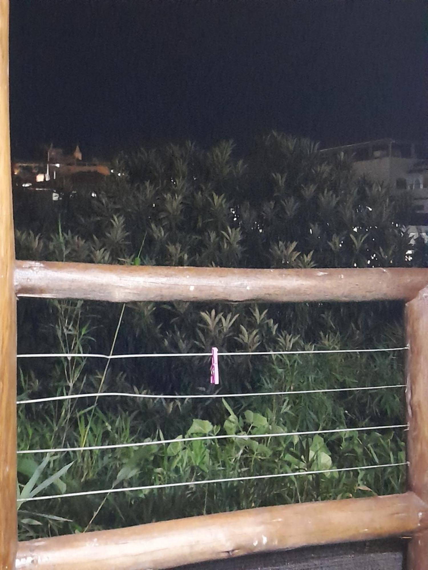 דירות קונה Chale Bambu3 מראה חיצוני תמונה